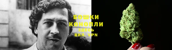 ПСИЛОЦИБИНОВЫЕ ГРИБЫ Заводоуковск