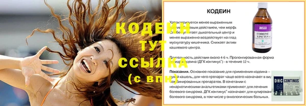 spice Елизово